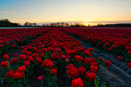 Zonsondergang in Drenthe!