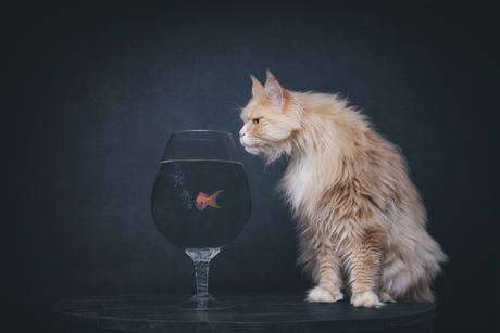 Mmm wat zit daar in??