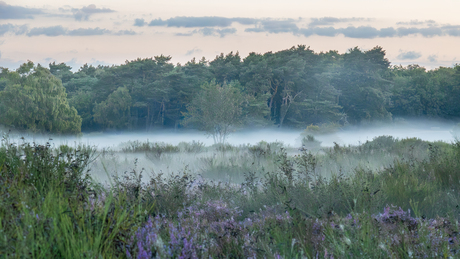 Meer van ochtendnevel