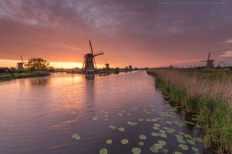 Zonsondergang Kinderdijk