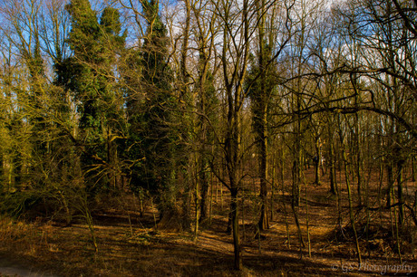 Prachtige natuur uit Duffel