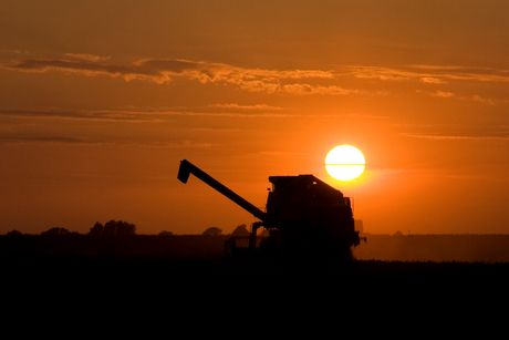 zonsondergang in de polder