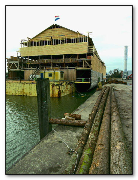 BUILDING NOAH'S ARK - DORDRECHT