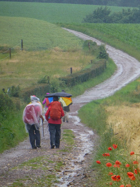 regenwandelaars 3