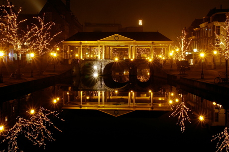 nieuwe rijn by night