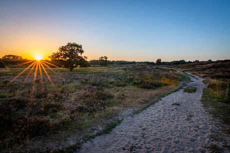 Een wandeling door de Gasterse duinen