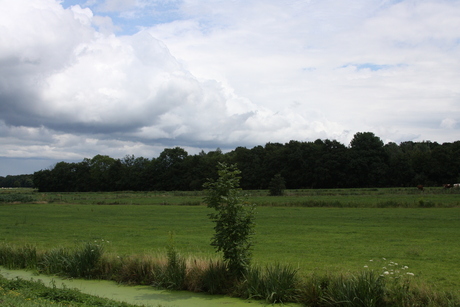 landschap