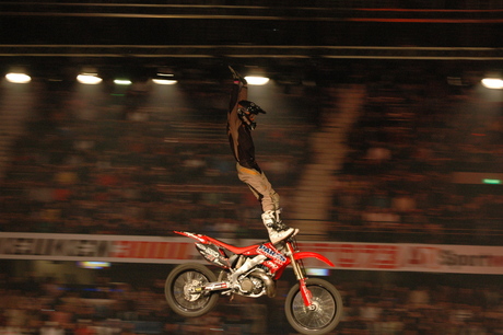 FMX Fever