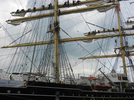 Sail 2015, Klimwerk