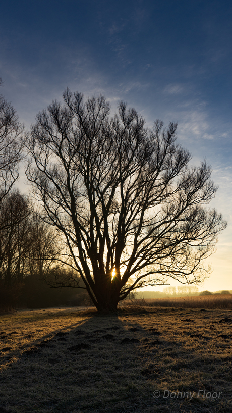 Zonsopkomst in het Geestmerambacht