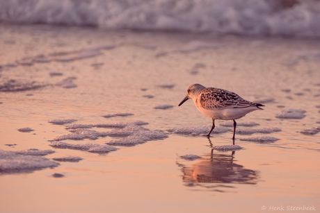Drieteen bekijkt de zonsondergang