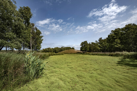 Zeepeduinen