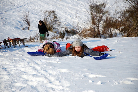 DSC_8830xx.jpgLekker in de sneeuw liggen..