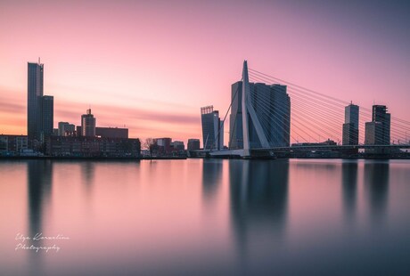 Pink morning in Rotterdam.