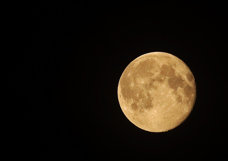 Volle maan