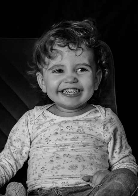 Grijstinten van Geluk