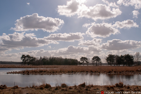 Huis ter Heide