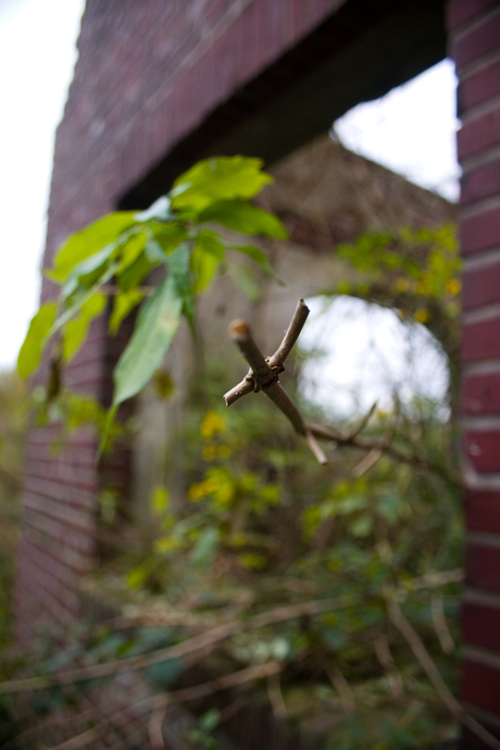 Steenfabriek