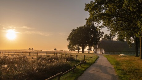 zonsopkomst met ochtendmist