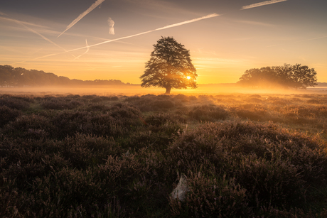 Veluwe