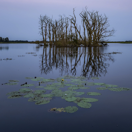 Stille avond