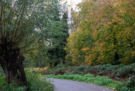 nabij Fort aan de Klop
