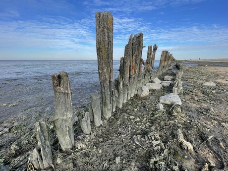 Palenrij in Waddenzee
