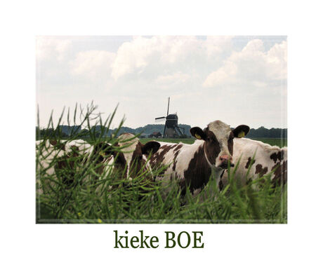 KiekeBOE