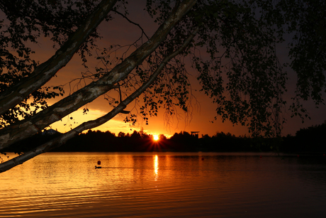 Zonsondergang Centerparcs vossenmeren