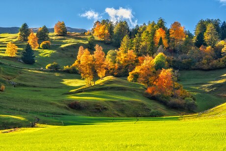 Herfst in Zwitserland