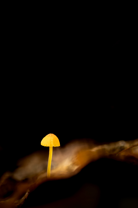 Hier brandt het lampje.