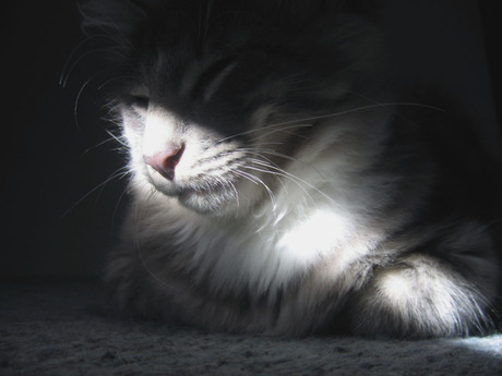 Let the sun shine in...