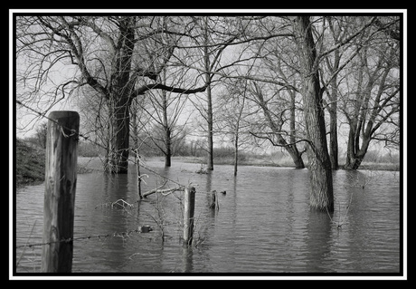 Ooijpolder