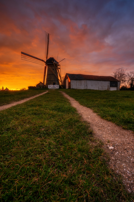 Molen Oostvoorne