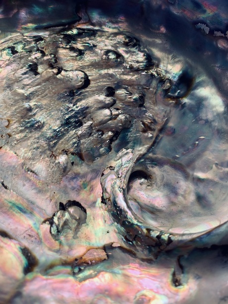 De parel zit vanbinnen…