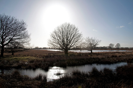 Bargerveen (Drenthe bij Weiteveen)