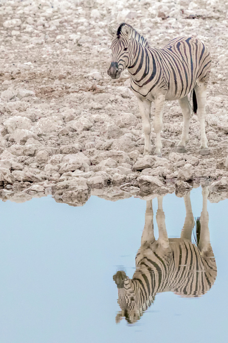 Spiegeltje, spiegeltje....