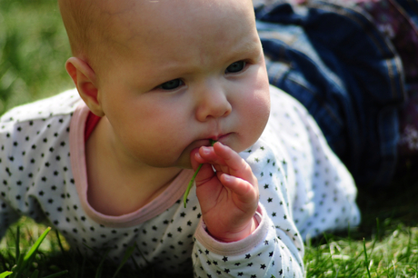 Zoë in het gras in de zon