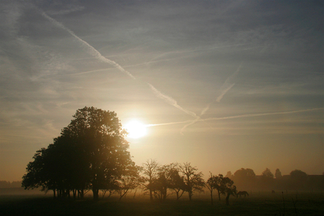 Misty morning