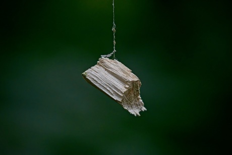 Hout aan een draadje