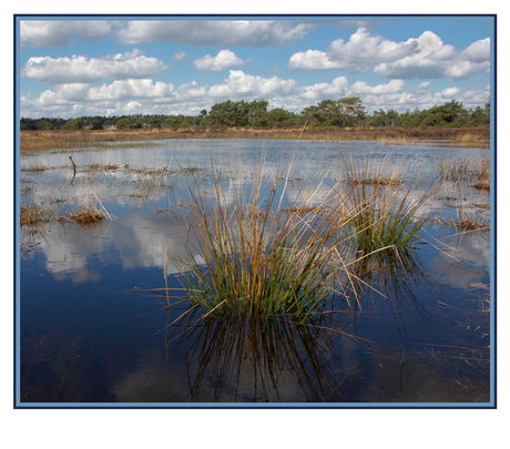 Veluwe weerspiegeling