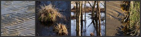 Terschelling different