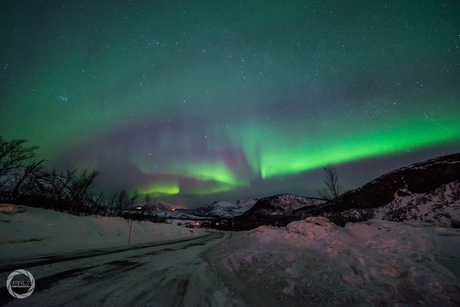 Noorderlicht Tromsø