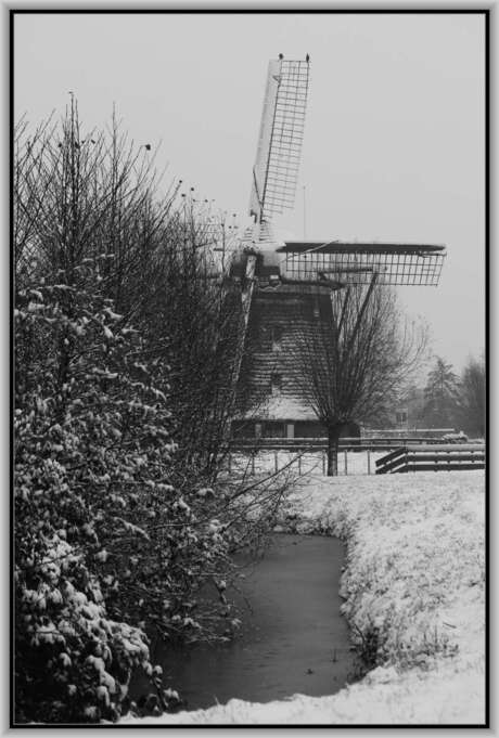 Winter in Holland