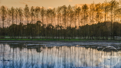 Ondergaande zon in een natuurgebied in ontwikkeling