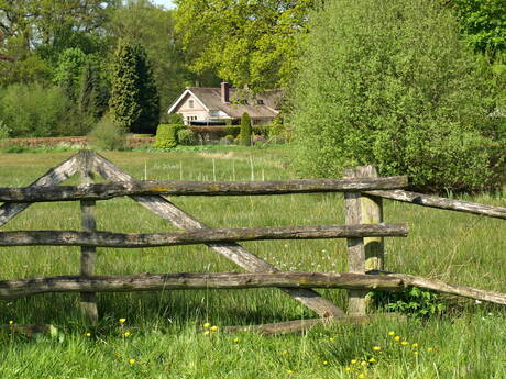 heerlijk in de natuur