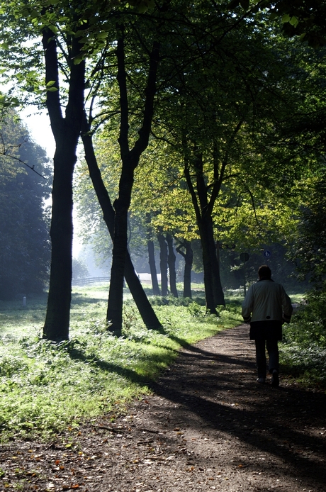 In de bossen