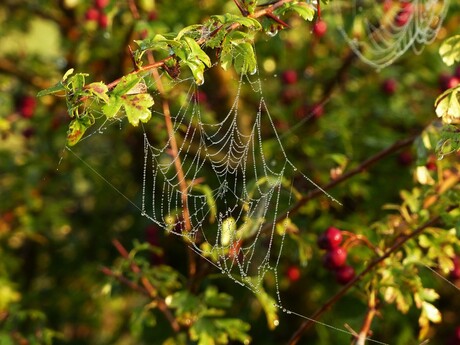 herfst