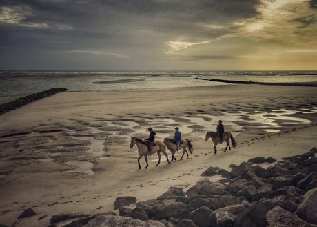 Strandruiters