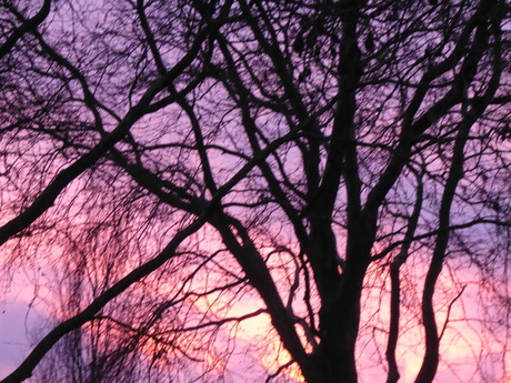 1 januari 2026 tweede